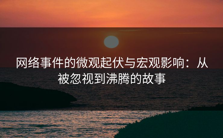 网络事件的微观起伏与宏观影响：从被忽视到沸腾的故事
