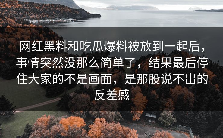 网红黑料和吃瓜爆料被放到一起后，事情突然没那么简单了，结果最后停住大家的不是画面，是那股说不出的反差感