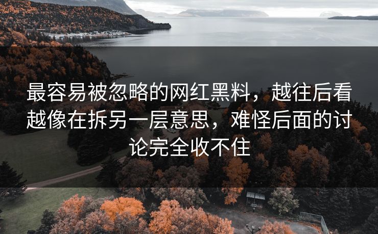 最容易被忽略的网红黑料,越往后看越像在拆另一层意思,难怪后面的讨论完全收不住 第1张 最容易被忽略的网红黑料,越往后看越像在拆另一层意思,难怪后面的讨论完全收不住 第1张