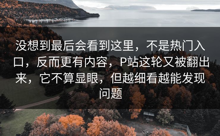 没想到最后会看到这里，不是热门入口，反而更有内容，P站这轮又被翻出来，它不算显眼，但越细看越能发现问题