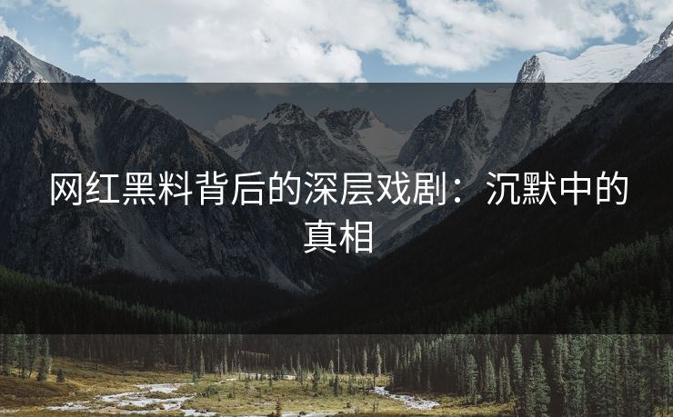 网红黑料背后的深层戏剧：沉默中的真相  第1张