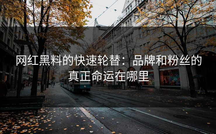 网红黑料的快速轮替：品牌和粉丝的真正命运在哪里  第1张