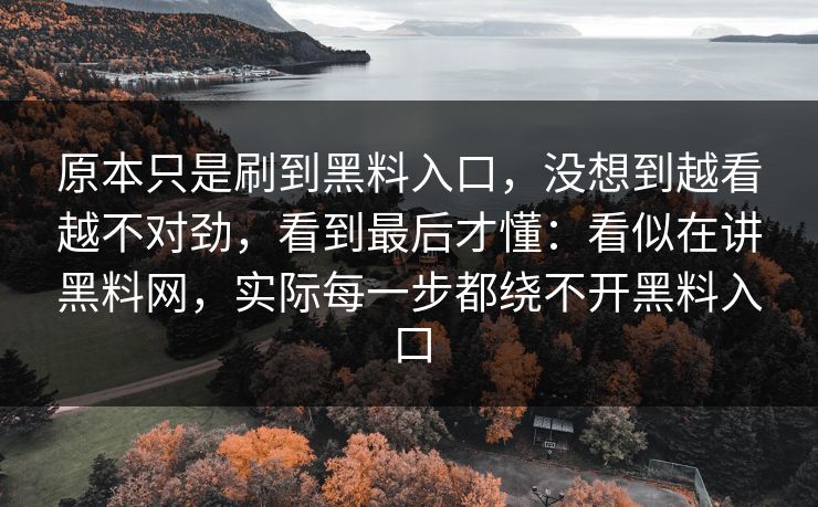 原本只是刷到黑料入口,没想到越看越不对劲,看到最后才懂:看似在讲黑料网,实际每一步都绕不开黑料入口 第1张 原本只是刷到黑料入口,没想到越看越不对劲,看到最后才懂:看似在讲黑料网,实际每一步都绕不开黑料入口 第1张