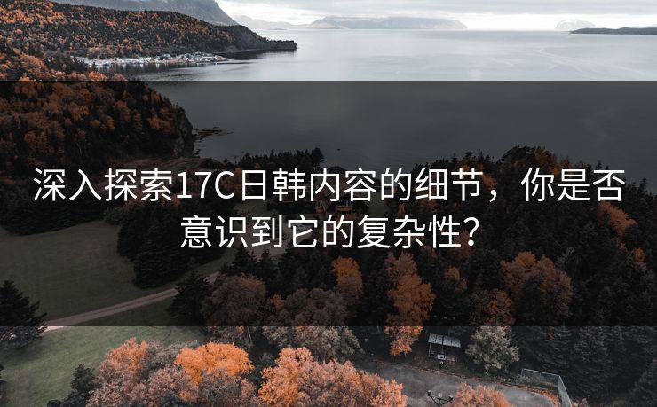 深入探索17C日韩内容的细节，你是否意识到它的复杂性？  第1张