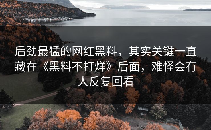 后劲最猛的网红黑料，其实关键一直藏在《黑料不打烊》后面，难怪会有人反复回看