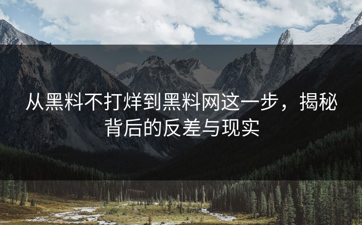 从黑料不打烊到黑料网这一步，揭秘背后的反差与现实  第1张