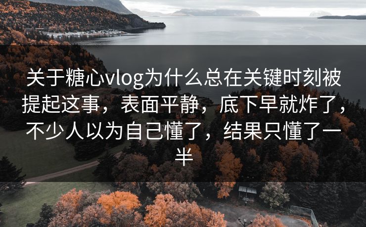 关于糖心vlog为什么总在关键时刻被提起这事，表面平静，底下早就炸了，不少人以为自己懂了，结果只懂了一半  第1张