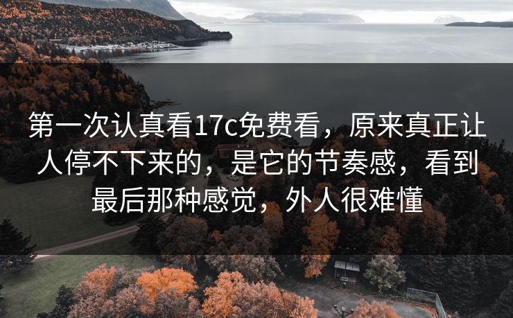 第一次认真看17c免费看，原来真正让人停不下来的，是它的节奏感，看到最后那种感觉，外人很难懂