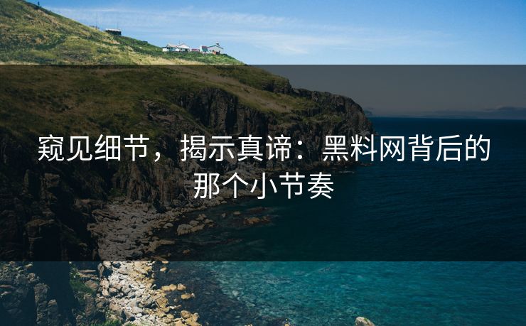窥见细节，揭示真谛：黑料网背后的那个小节奏  第1张